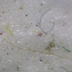 microplastic