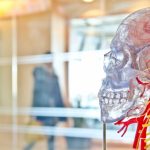 brain-science-unsplash
