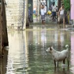 Yamuna-rises-PTI-2