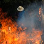 amazon-forest-fire