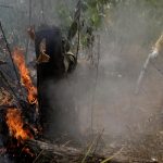 Warplanes-Dump-Water-on-Amazon-as-Brazil-Military-Begins-Fighting-Fires