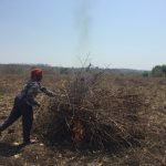 6_Jijabai-burning-crop-waste
