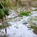 hailstorm