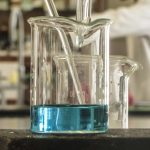 lab