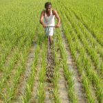 groundwater, groundwater crisis, drought, floods, climate change, dry wells, rocky terrain, alluvial soil, University of Waterloo, survival bias, survivorship bias,
