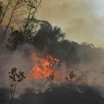 2019-09-07T012404Z_1_LYNXNPEF8601N_RTROPTP_4_BRAZIL-ENVIRONMENT-1