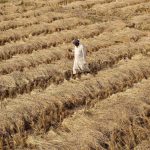 Farmer_Reuters1-3-1