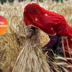1024woman-farmer_082216041310