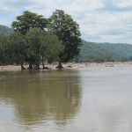Asian elephant, Bengaluru, brahminy kite, brown fish owl, Cauvery River, Cauvery Wildlife Sanctuary, climate change, Environment news, green imperial pigeon, grizzled giant squirrel, Indian paradise flycatcher, Karnataka, Mekedatu dam, mugger crocodiles, Nilgiri Biosphere Reserve, oriental darter, red velvet mite, signature spider, sloth bear, Water scarcity, water shortage