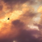breno-machado-GBO4_7WymqY-unsplash-1