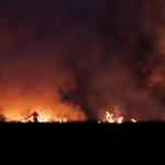 crop-burning