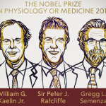 Nobel Prizes, Nobel Prize for physiology or medicine, EPO gene, VHL gene, von Hippel-Lindau gene, normoxia, hypoxic response, HIF-1α, hypoxia induced transcription factor, Gregg Semenza, William Kaelin Jr, Sir Peter Ratcliffe, erythropoiesis, angiogenesis, red blood cells, cancer, prolyl hydroxylation, Albert Lasker Award,