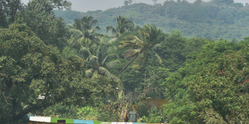 Mumbaikars Enraged as New Maharashtra Govt Decides to Shift Metro Car Shed Back to Aarey Forest - Vimarsana News