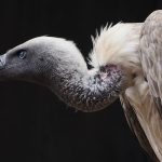 nick-kwan-Pc5Yv7QX4Ts-unsplash