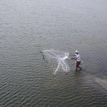 adyar-river