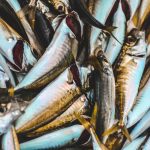 oziel-gomez-iL-nzcmcnWc-unsplash