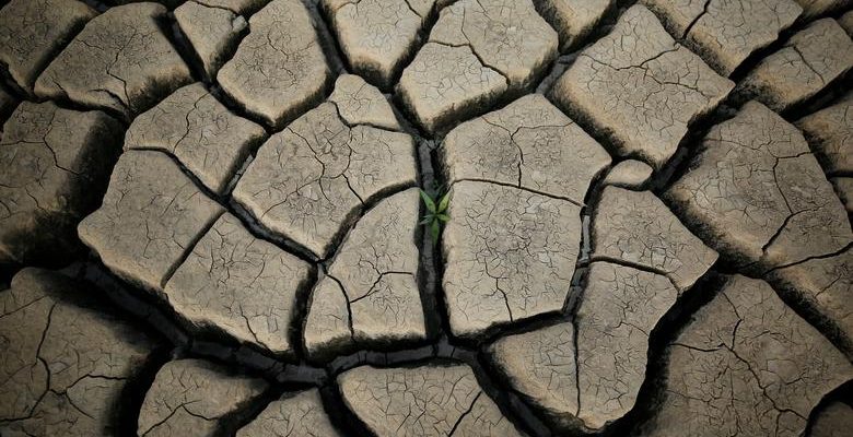 Water Crisis: South Africa's Problem Is it Doesn't Know How it Gets Its Water - The Wire