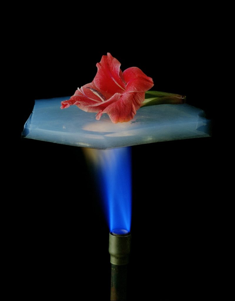 Aerogel, the World’s Lightest Solid, Can Help Bones Heal Faster The