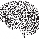 brain