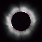 file-20191203-66998-1gw5x8a