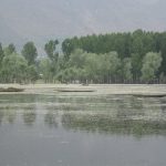 Kashmir Valley, Jhelum river, Wular lake, Wullar lake, Jalaluddin Baba, Earth Hero Award, Royal Bank of Scotland, natural heritage, effluents, industrial effluents, industrial discharge, CRPF, Indian army, Indian navy, naval marine commandos, Marine Commandos, Jammu, Ladakh, Kashmir, Srinagar, Pulwama, Bandipora, Ikhwan, barrage, Jhelum barrage, Sopore,