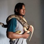 Snakebite Envenomation in Indonesia