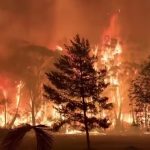 2019-12-18T234700Z_2_LYNXMPEFBH20F_RTROPTP_4_AUSTRALIA-BUSHFIRES