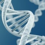 DNA-640x480
