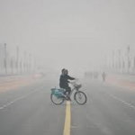 A woman rides a bicycle on a cold and wintry morning at Rajpath in New Delhi. Photo: PTI