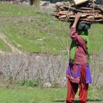 A-nomad-woman-with-a-head-load-of-firewood-in-a-pasture-in-Kashmir-photo-Athar-Parvaiz copy