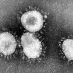 coronavirus, H1N1, flu pandemic, Wuhan coronavirus, Hubei province, China, wet markets, China food markets, SARS, MERS, 2019 nCoV, case fatality ratio, basic reproductive number, human coronavirus 229E, Nipah virus, Nipah virus outbreak, human coronavirus HKU1, Severe Acute Respiratory Syndrome, Manipal Institute of Virology, Arunkumar Govindakarnavar, coronavirus, virions, asymptomatic infections,