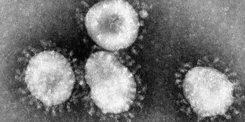 coronavirus, H1N1, flu pandemic, Wuhan coronavirus, Hubei province, China, wet markets, China food markets, SARS, MERS, 2019 nCoV, case fatality ratio, basic reproductive number, human coronavirus 229E, Nipah virus, Nipah virus outbreak, human coronavirus HKU1, Severe Acute Respiratory Syndrome, Manipal Institute of Virology, Arunkumar Govindakarnavar, coronavirus, virions, asymptomatic infections,