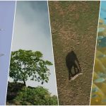 Wild Karnataka_snapshots