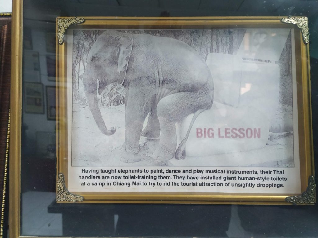 At a Museum for Toilets, Perspectives on Public Sanitation