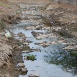 Orathupalayam dam, water hyacinth, Anaipalayam, Tiruppur, Erode, Kooduthurai, Bhavani river, Cauvery river, Cauvery-Bhavani confluence, Uthukuli, Vengalapalayam, Arugampalayam, Karur, Athipalayam, Noyyal river, dyeing, bleaching, groundwater contamination, riparian agriculture, Fred Pearce, industrial effluents, textile manufacturing, Australia Open,