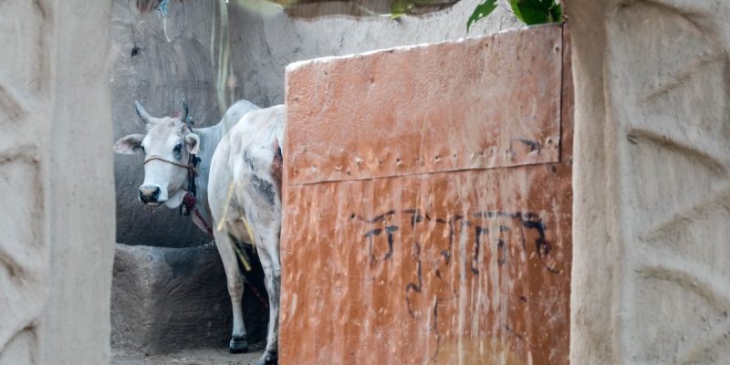 Karnataka: BJP Government's Law Prohibiting Cow Slaughter Hurts Both Hindus and Muslims - Vimarsana News