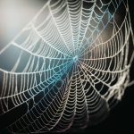 chase-mcbride-3EgcrRgBPuQ-unsplash-1024x683