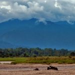 A-view-of-Pakke-Tiger-Reserve-from-Seijosa-Chintan-Sheth-Eaglenest-Biodiversity-Project-1024x439