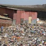 Deonar-Life-amid-litter-768x512