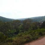 sandur