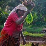 woman farmer