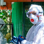 Health officials cull poultry at Vengeri in Kozhikode, Thursday, March 12, 2020.