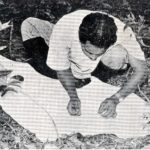 Ticks being picked off (the person in this image is not P.K. Rajagopalan). Credit: P.K. Rajagopalan