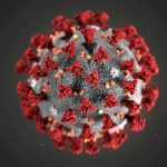 FILE PHOTO: An illustration, created at the Centers for Disease Control and Prevention (CDC), depicts the 2019 Novel Coronavirus
