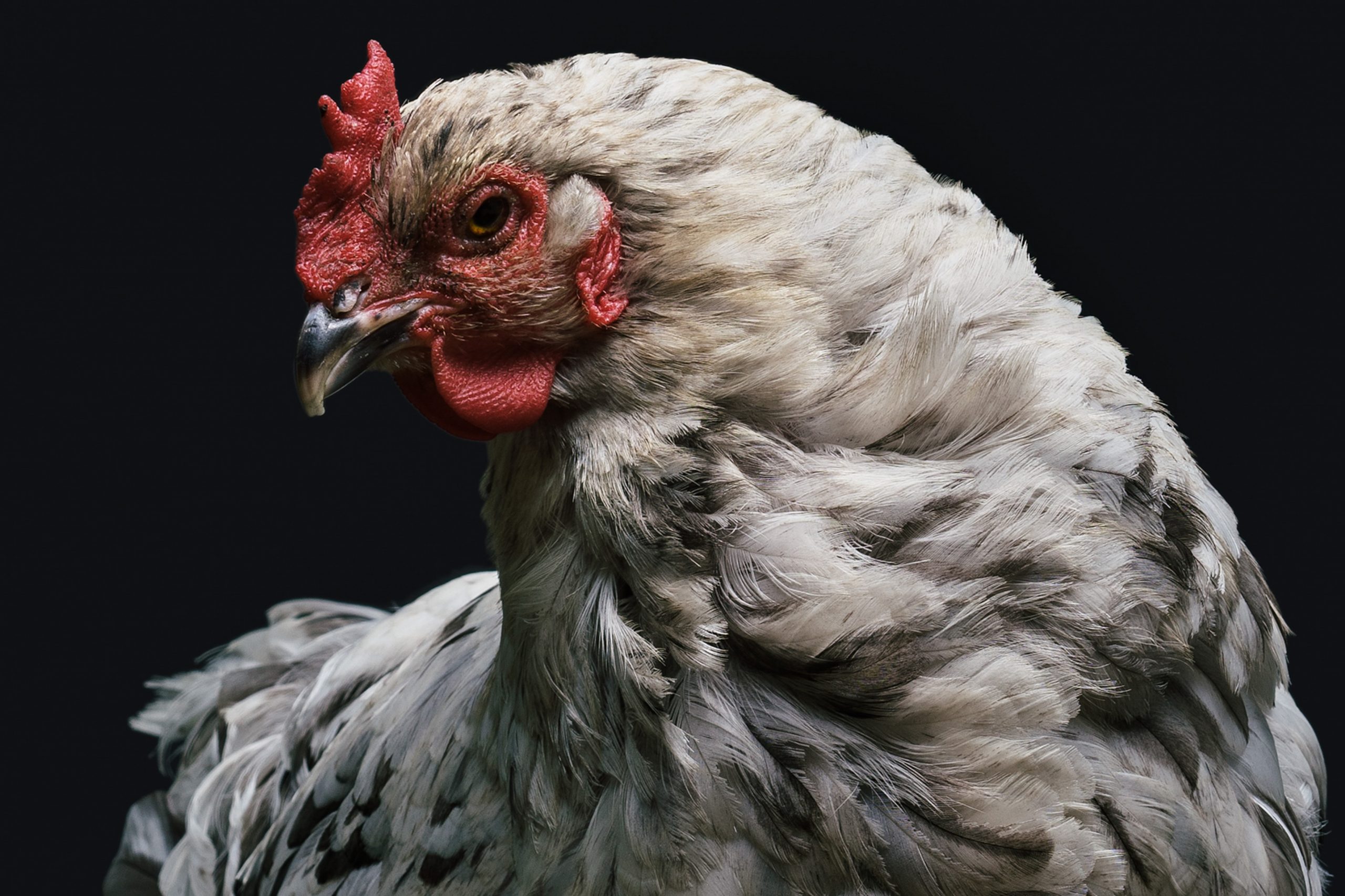john-towner-0uN9iF4mgDI-unsplash