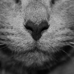 alejandra-coral-l_kj9sjROZc-unsplash