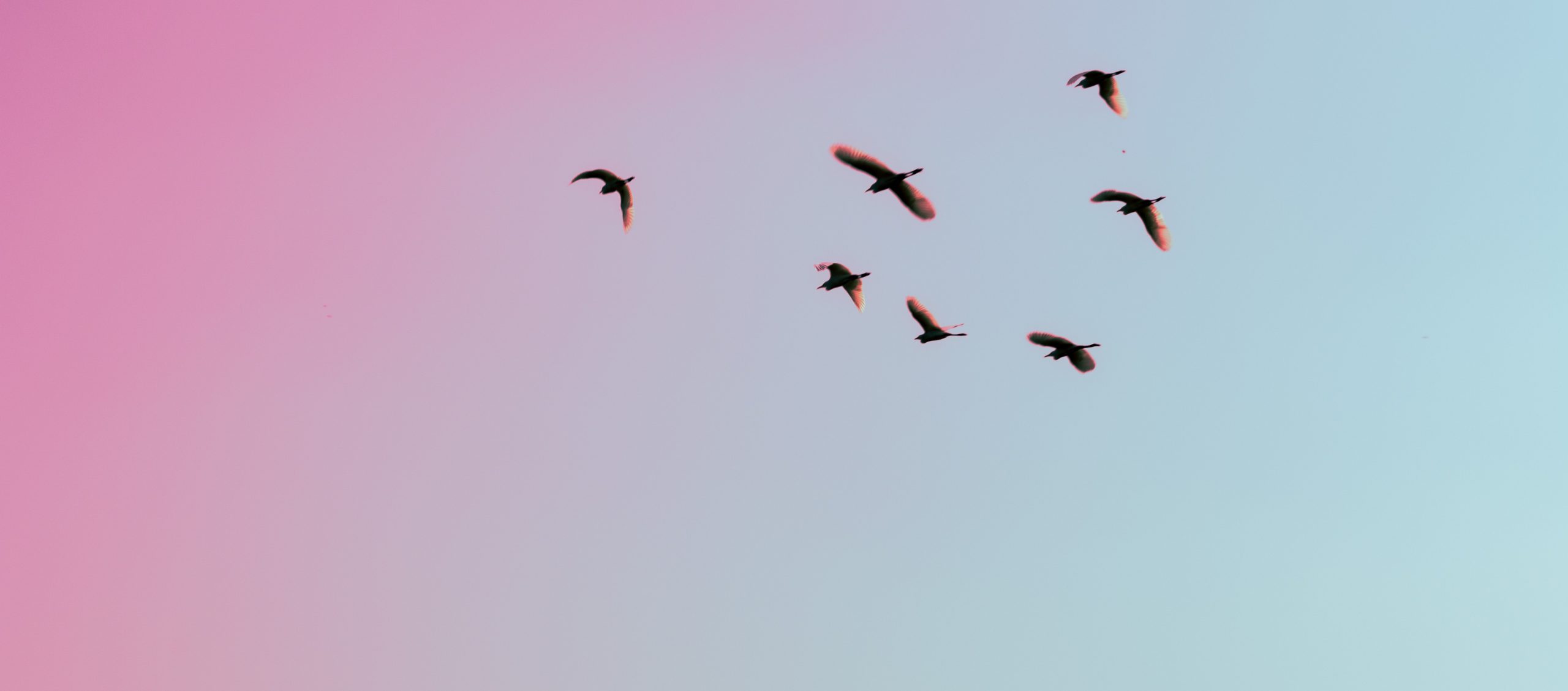 gauravdeep-singh-bansal-caC13DIDe9E-unsplash