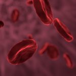 red-blood-cells-3188223_1920