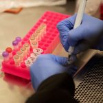 FILE PHOTO: Researchers set up new labs to help fight coronavirus at the University of Minnesota