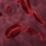 red-blood-cells-3188223_1920